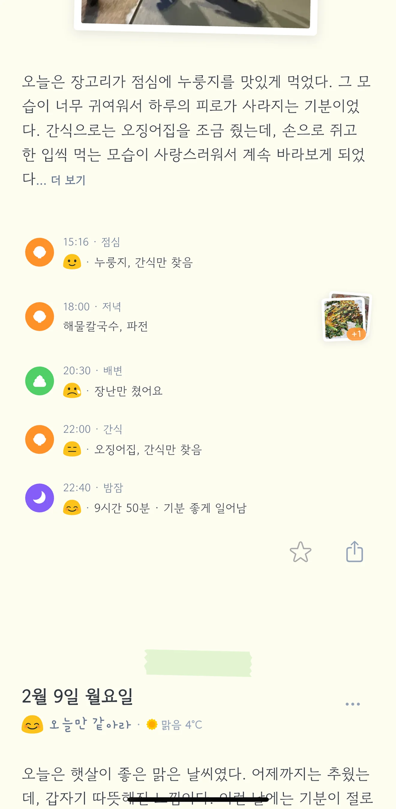 일기 상세 - 일상 기록과 식사/배변/수면 로그